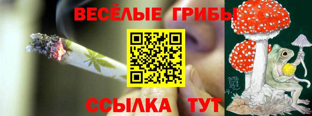 Галлюциногенные грибы GOLDEN TEACHER  Псилоцибиновые грибы Cubensis  Зерноград  продажа наркотиков  Вход с VPN 